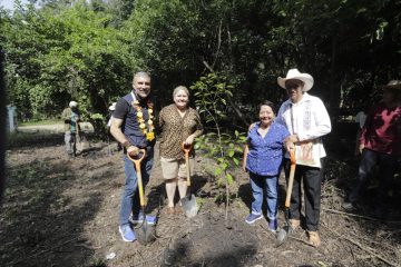 ¿Sabes qué es Arboleando Tuxtla? ¿Sabes qué es Arboleando Tuxtla?