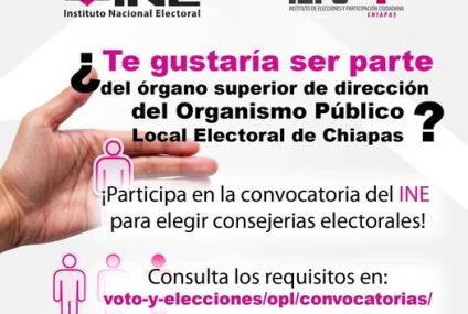 Vacantes consejerías en el IEPC