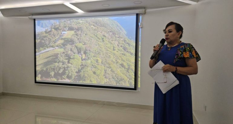 Chiapas fortalece alianzas internacionales por los bosques y el agua