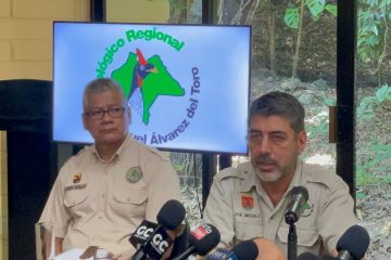 Aislan a águila arpía en el ZOOMAT en Chiapas por dos casos de influenza aviar Aislan a águila arpía en el ZOOMAT en Chiapas por dos casos de influenza aviar