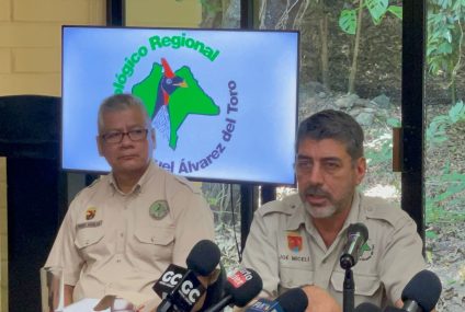 Aislan a águila arpía en el ZOOMAT en Chiapas por dos casos de influenza aviar
