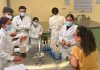 Egresados de la UNICACH reciben Premio CENEVAL por desempeño de excelencia