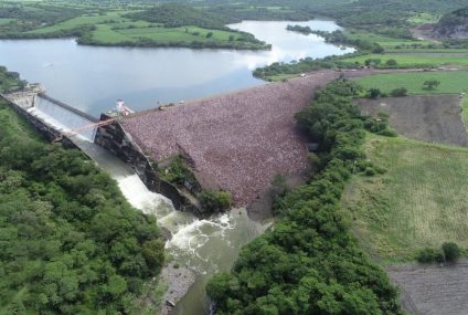 Presas de México están al 48 por ciento de llenado con las primeras lluvias del 2026