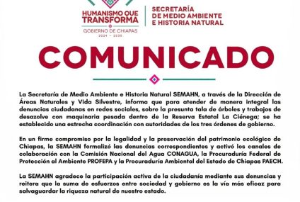 Semahn Chiapas Investiga presunta tala de árboles en zona protegida La Ciénega