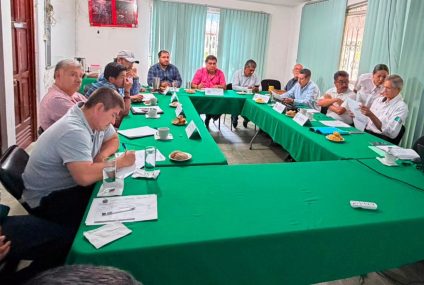 Comité de Manejo Forestal fortalece la evaluación técnica de proyectos en Chiapas