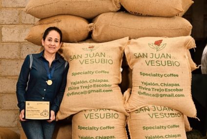 Chiapas refrenda su liderazgo en cafés de especialidad de México y el mundo