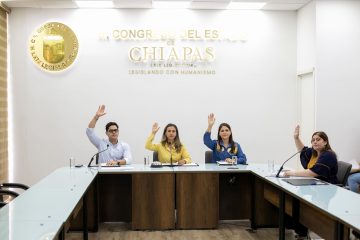Trabajando en unidad, por el bienestar de las y los chiapanecos: Marcela Castillo