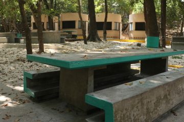 El ZooMAT evoluciona: nueva infraestructura para vivir la conservación, la innovación y la naturaleza en un mismo recorrido El ZooMAT evoluciona: nueva infraestructura para vivir la conservación, la innovación y la naturaleza en un mismo recorrido
