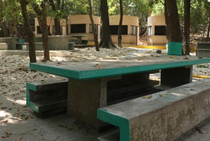 El ZooMAT evoluciona: nueva infraestructura para vivir la conservación, la innovación y la naturaleza en un mismo recorrido
