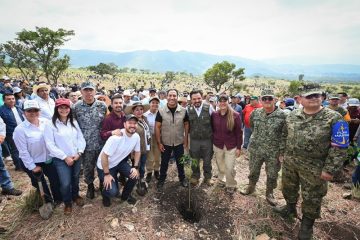 Con más de un millón de árboles, Chiapas se suma a la Jornada Nacional de Reforestación impulsada por Claudia Sheinbaum Con más de un millón de árboles, Chiapas se suma a la Jornada Nacional de Reforestación impulsada por Claudia Sheinbaum