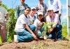 Reforestan el Cerro de Nambiyuguá en Villaflores, Chiapas