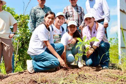 Reforestan el Cerro de Nambiyuguá en Villaflores, Chiapas