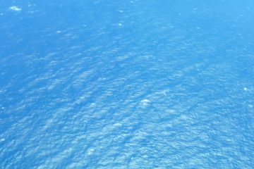 Siguen acciones de búsqueda y rescate en costas de Tonalá de embarcación y dos pescadores desaparecidos Siguen acciones de búsqueda y rescate en costas de Tonalá de embarcación y dos pescadores desaparecidos