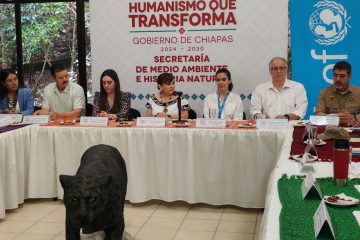 SEMAHN encabeza sesión ordinaria 2026 en Tuxtla Gutiérrez, Chiapas SEMAHN encabeza sesión ordinaria 2026 en Tuxtla Gutiérrez, Chiapas
