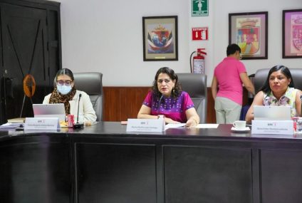 IEPC se reúne con representantes de los partidos políticos ante el organismo en el marco de la elección 2027